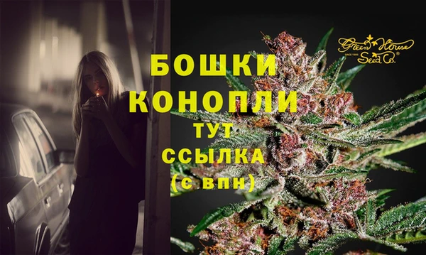 индика Лиски