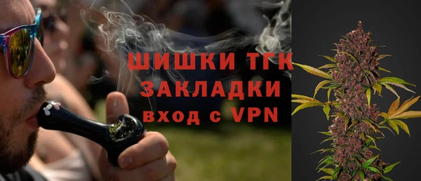 индика Лиски