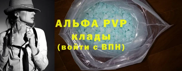 индика Лиски