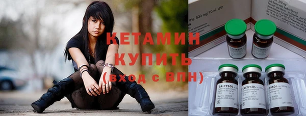 индика Лиски