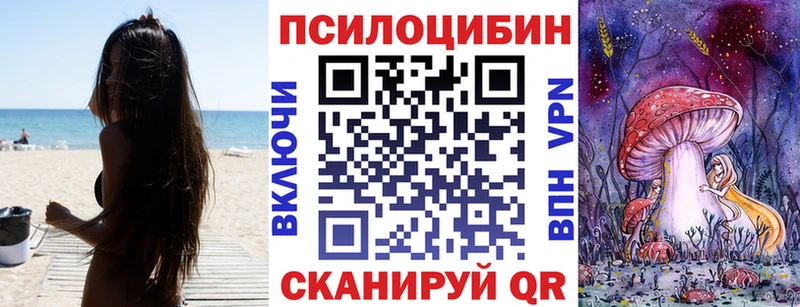 цена   Бабаево  Галлюциногенные грибы Cubensis 